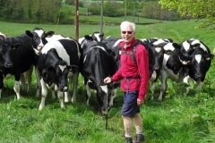 Arnold-n-Cows-01