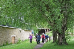 Probus-Tellisford-01
